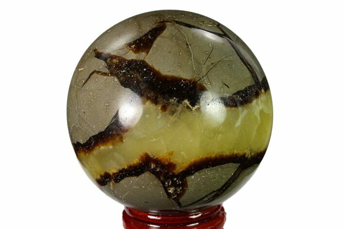 Polished Septarian Sphere - Madagascar #154119